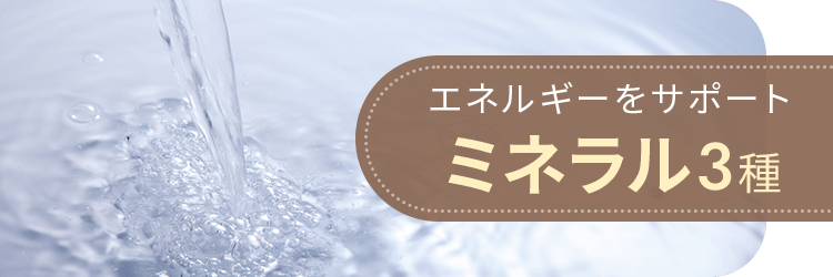 エネルギーをサポート ミネラル3種