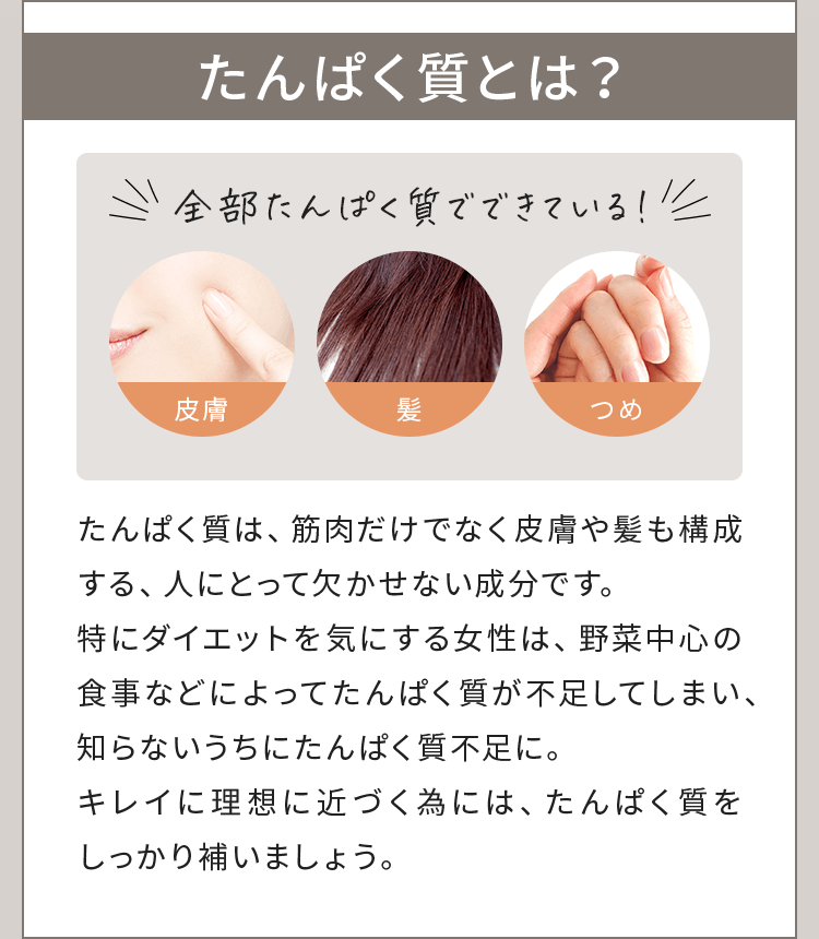 たんぱく質とは