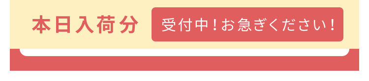 本日入荷分 受付中！